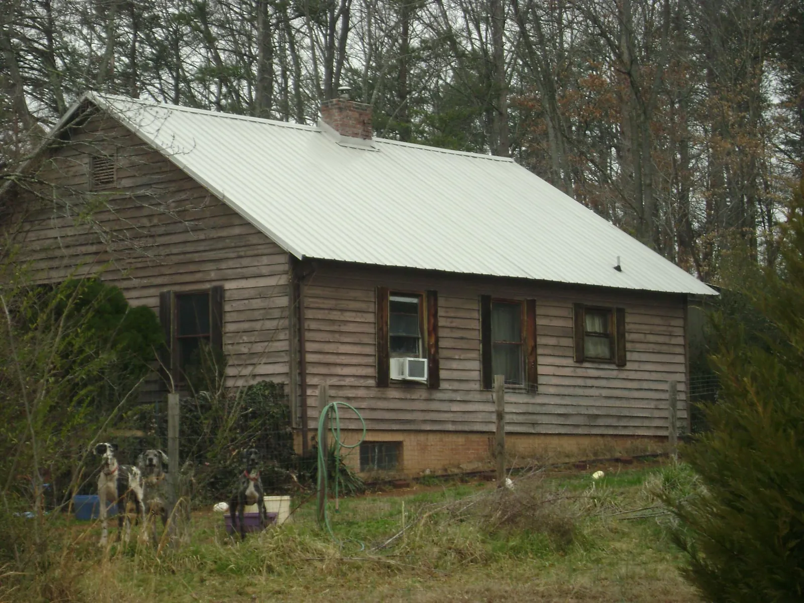 White metal roof on an old wood sided farmhouse, from a Metal Roof Installation job in Colora